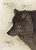 Black Wolf Image